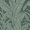 Botanic-behang-Arte-Pine-Rol-64504-Selected Wallpapers