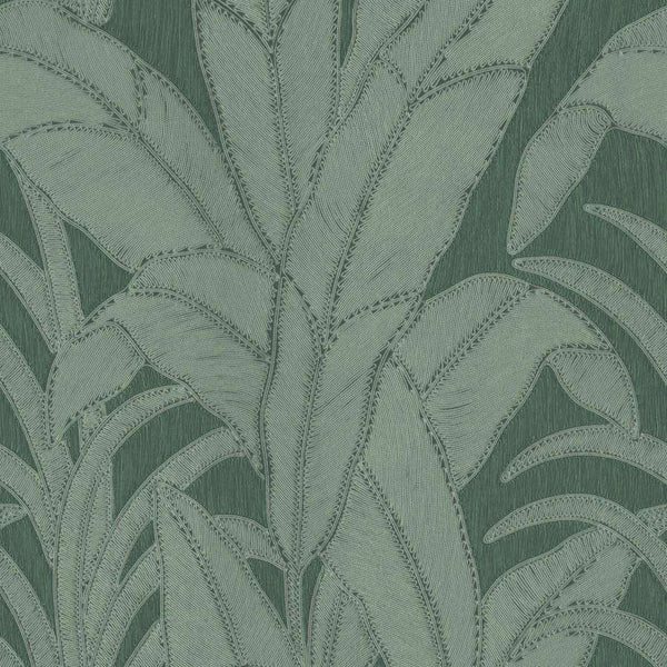 Botanic-behang-Arte-Pine-Rol-64504-Selected Wallpapers