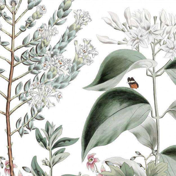 Botanical Garden-behang-Les Dominotiers-Color-Non Woven 70 cm-DOM1514-Selected Wallpapers