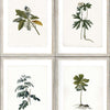 Botany-behang-Mind the Gap-Multicolor-300 cm (standaard)-WP20153-Selected Wallpapers