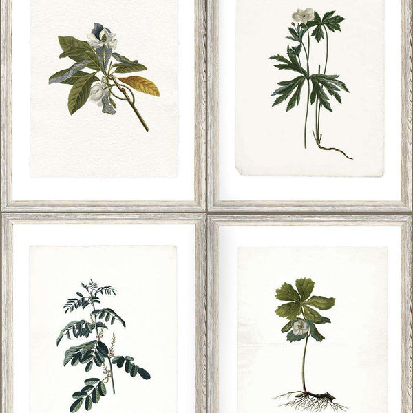 Botany-behang-Mind the Gap-Multicolor-300 cm (standaard)-WP20153-Selected Wallpapers