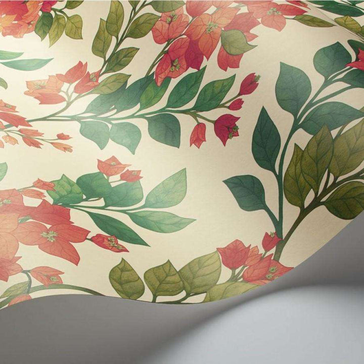 Bougainvillea-behang-Tapete-Cole & Son-Selected Wallpapers