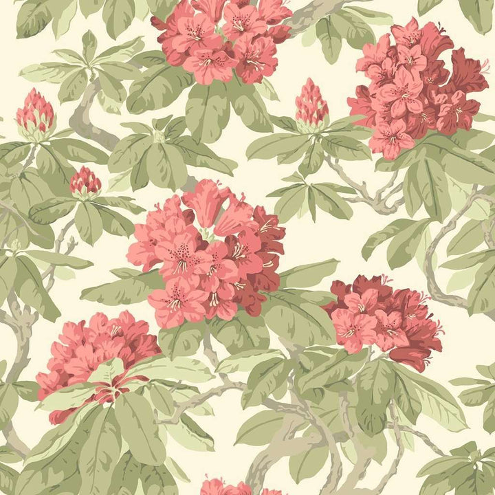 Bourlie-Behang-Tapete-Cole & Son-Rose & Olive-Rol-99/4020-Selected Wallpapers