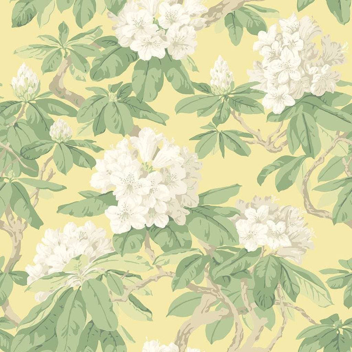 Bourlie-Behang-Tapete-Cole & Son-White & Leaf Green-Rol-99/4021-Selected Wallpapers