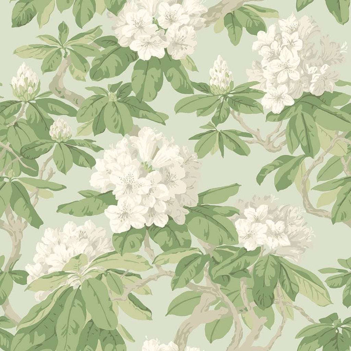 Bourlie-Behang-Tapete-Cole & Son-White & Olive Green-Rol-99/4022-Selected Wallpapers
