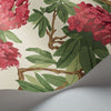 Bourlie-Tapete-Cole & Son-Selected Wallpapers