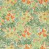 Bower-wallpaper-Morris & Co-Herball/Weld-Roll-217204-Selected Wallpapers