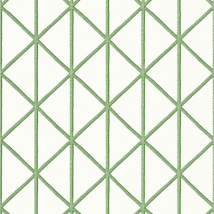 Box Kite-Behang-Tapete-Thibaut-Emerald Green-Rol-T10138-Selected Wallpapers