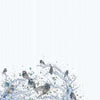 Branches-behang-Inkiostro Bianco-1-Vinyl 68 cm-INKHFRI18-Selected Wallpapers