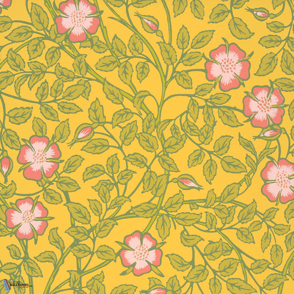 Briar Rose-wallpaper-Little Greene-Indian Yellow-Roll-0263BRINDIA-Selected Wallpapers