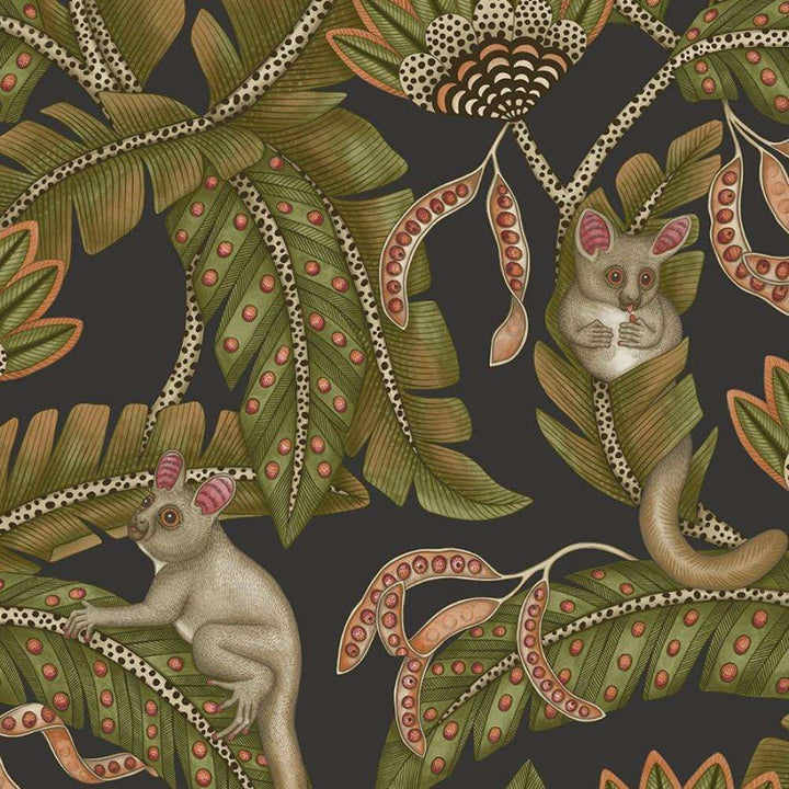 Bush Baby-Behang-Tapete-Cole & Son-Black-Rol-119/7031-Selected Wallpapers