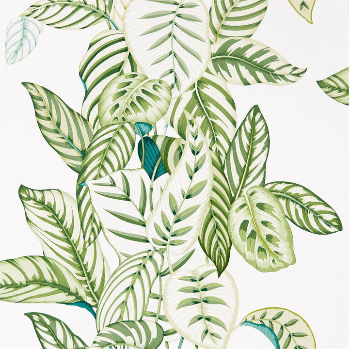 Calathea-behang-Tapete-Sanderson-Green-Rol-216630-Selected Wallpapers