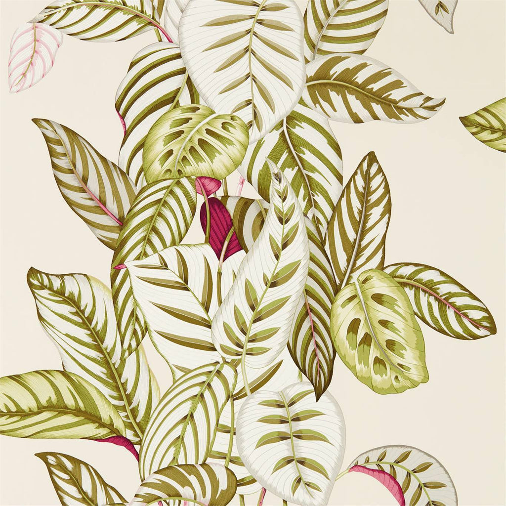 Calathea-behang-Tapete-Sanderson-Olive-Rol-216631-Selected Wallpapers