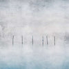 Caligo-Behang-INSTABILELAB-02-Vinyl New Middle-caligo02-Selected Wallpapers
