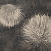 Carduus-Behang-Inkiostro Bianco-3-Vinyl 68 cm-INKUDAR2203-Selected Wallpapers