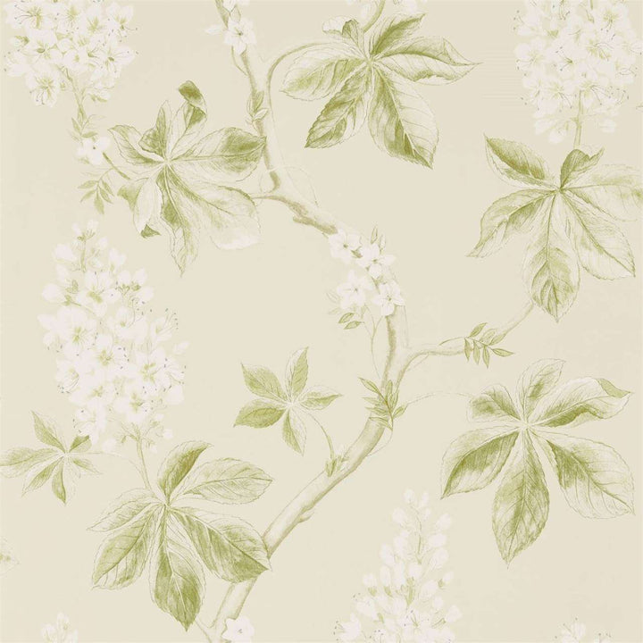 Chestnut Tree-behang-Tapete-Sanderson-Lemon/Lettuce-Rol-215707-Selected Wallpapers