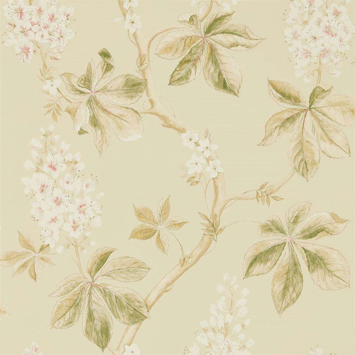 Chestnut Tree-behang-Tapete-Sanderson-Coral/Bayleaf-Rol-215709-Selected Wallpapers