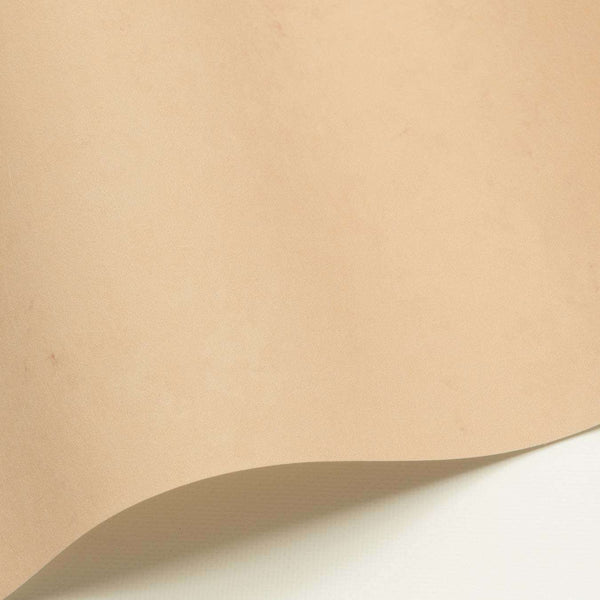 Chroma-Behang-Nobilis-Selected Wallpapers