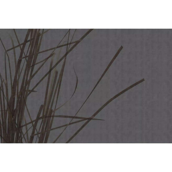Contemplation-behang-Glamora-Selected Wallpapers