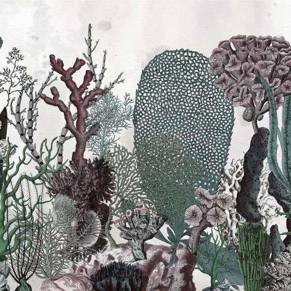 Coralfull-Behang-Wall & Deco-02-Wet System-WET_CO1602-Selected Wallpapers