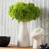 Cork Forest-Behang-Thibaut-Selected Wallpapers