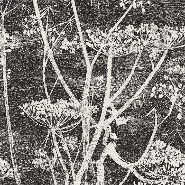Cow Parsley-behang-Tapete-Cole & Son-Soot & Snow-Rol-66/7046-Selected Wallpapers