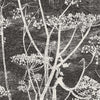 Cow Parsley-behang-Cole & Son-Soot & Snow-Rol-66/7046-Selected Wallpapers