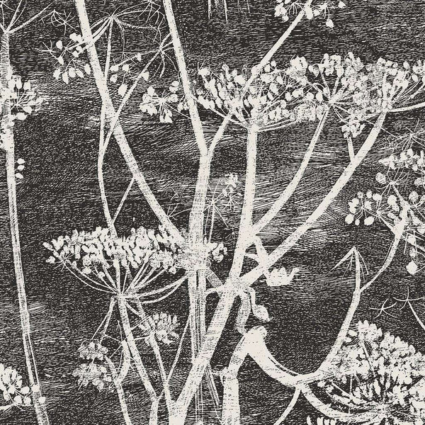 Cow Parsley-behang-Cole & Son-Soot & Snow-Rol-66/7046-Selected Wallpapers