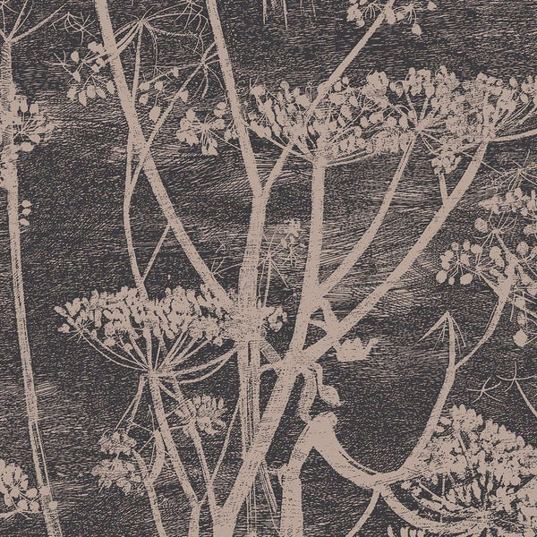 Cow Parsley-behang-Cole & Son-Linen & Charcoal-Rol-66/7048-Selected Wallpapers