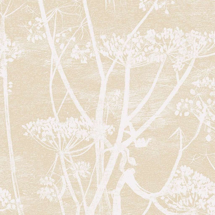 Cow Parsley-behang-Tapete-Cole & Son-Cream & Oat-Rol-66/7049-Selected Wallpapers
