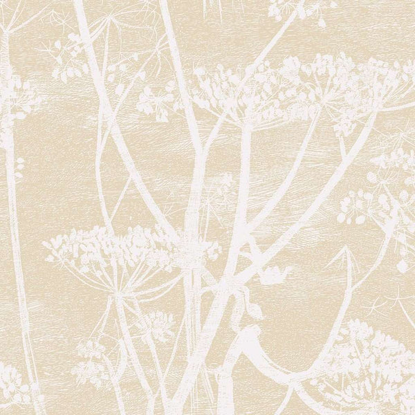 Cow Parsley-behang-Cole & Son-Cream & Oat-Rol-66/7049-Selected Wallpapers