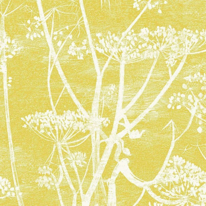 Cow Parsley-behang-Tapete-Cole & Son-White & Chartreuse-Rol-66/7051-Selected Wallpapers