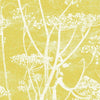 Cow Parsley-behang-Cole & Son-White & Chartreuse-Rol-66/7051-Selected Wallpapers