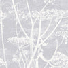 Cow Parsley-behang-Cole & Son-White & Heath Grey-Rol-95/9049-Selected Wallpapers