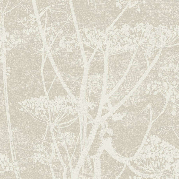 Cow Parsley-behang-Cole & Son-Stone & White-Rol-95/9051-Selected Wallpapers