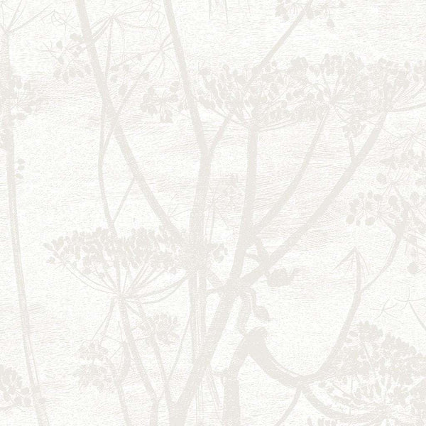 Cow Parsley-behang-Cole & Son-Chalk & Parchment-Rol-95/9052-Selected Wallpapers