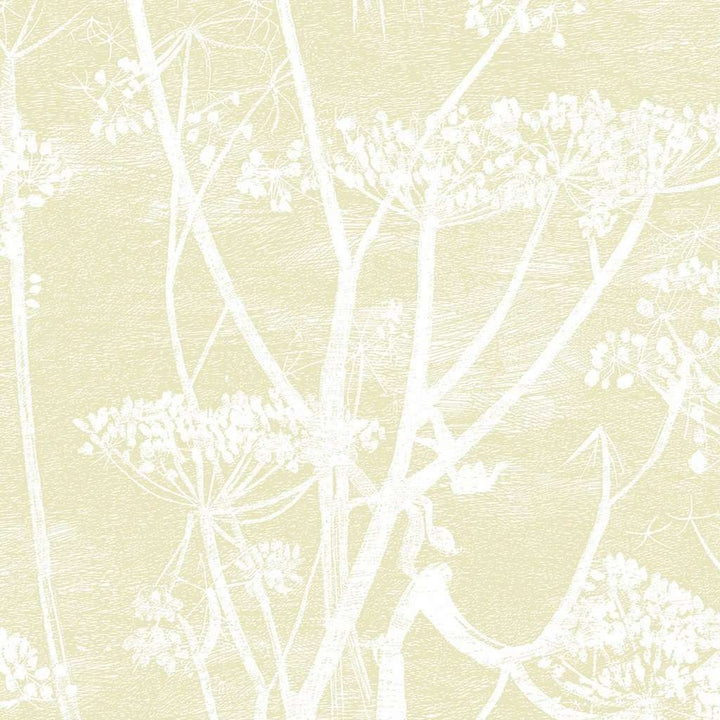 Cow Parsley-behang-Tapete-Cole & Son-White & Sof Yellow-Rol-95/9053-Selected Wallpapers