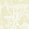 Cow Parsley-behang-Cole & Son-White & Sof Yellow-Rol-95/9053-Selected Wallpapers