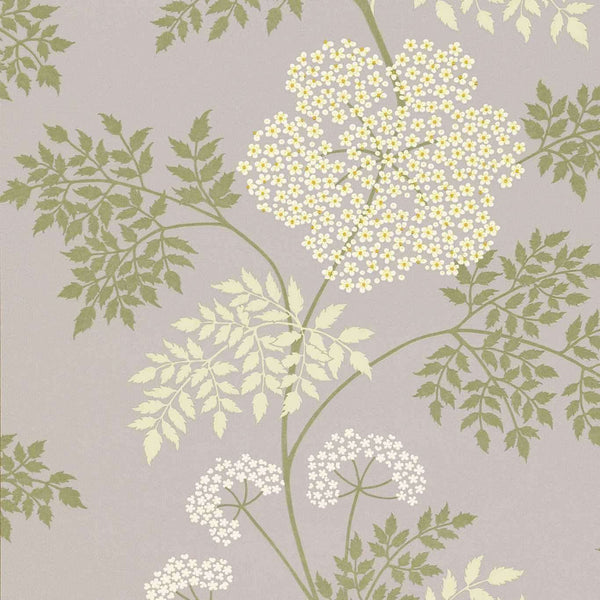 Cowparsley-behang-Sanderson-Amethyst-Rol-DOPWCO103-Selected Wallpapers