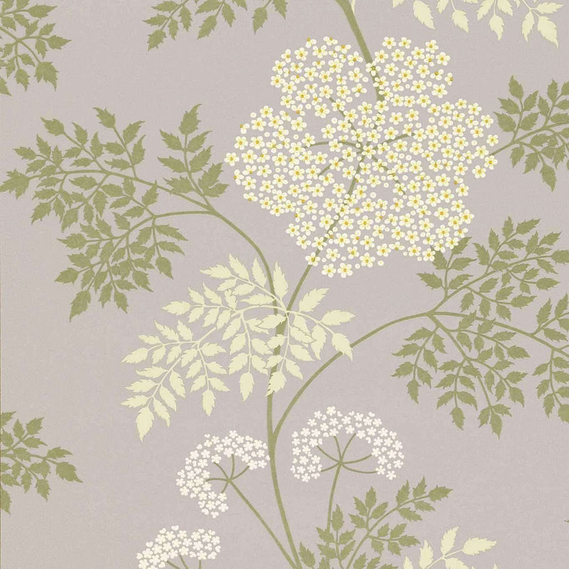 Cowparsley wallpaper in Amethyst by Sanderson