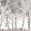 Croisette-behang-Designers Guild-Nacre-Set-PCL022/02-Selected Wallpapers
