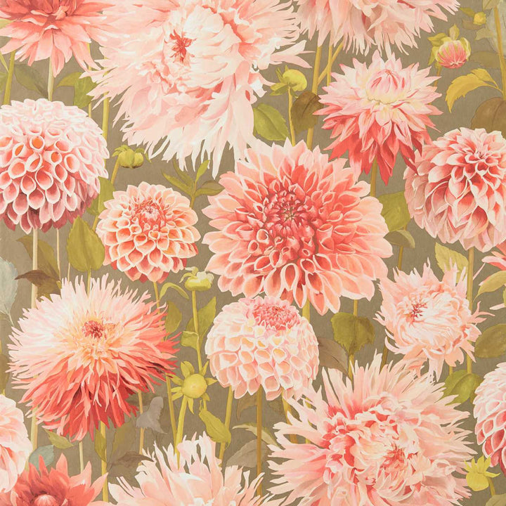 Dahlia-Behang-Tapete-Harlequin-Coral-Rol-112845-Selected Wallpapers