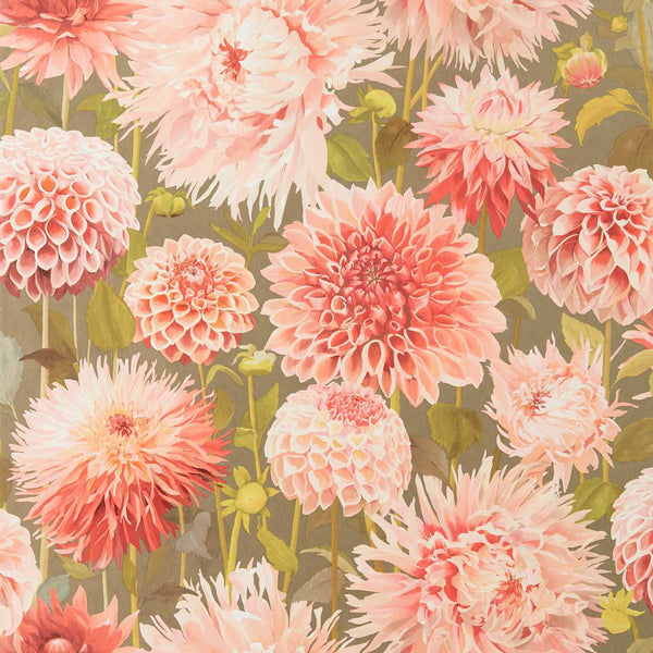 Dahlia-Wallpaper-Harlequin-Coral-Roll-112845-Selected Wallpapers