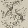 Darnley-behang-Zoffany-Dove-Meter (M1)-312849-Selected Wallpapers