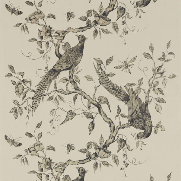 Darnley-behang-Zoffany-Dove-Meter (M1)-312849-Selected Wallpapers