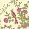 Darwin-behang-Little Greene-Jeune-Rol-0247DAJEUNE-Selected Wallpapers