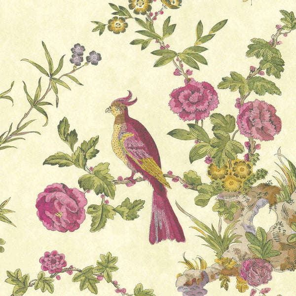 Darwin-behang-Little Greene-Jeune-Rol-0247DAJEUNE-Selected Wallpapers