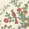Darwin-behang-Little Greene-Provence-Rol-0247DAPROVE-Selected Wallpapers