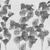 Diaphanus-Behang-Wall & Deco-01-CWC-WDDI2201-Selected Wallpapers