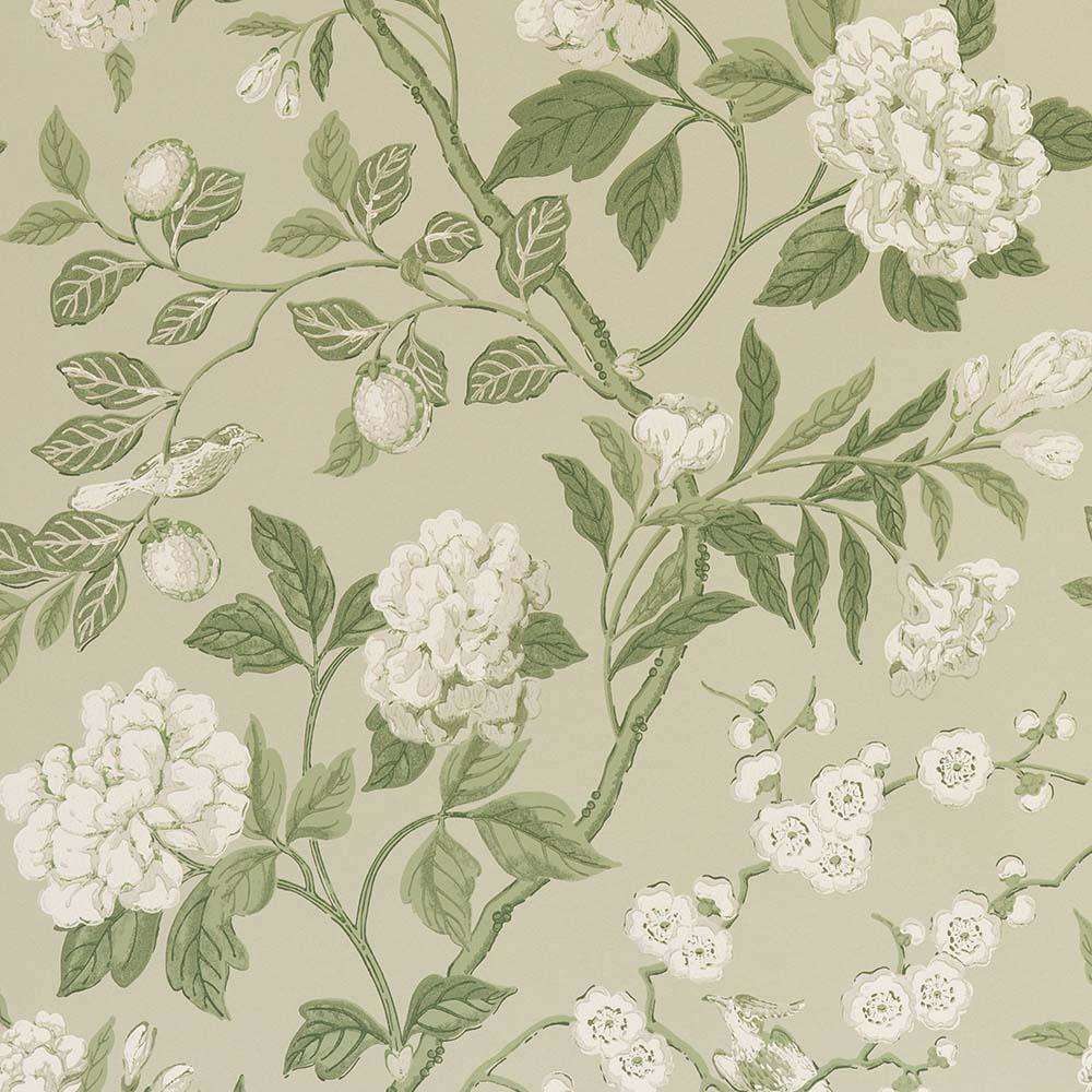 Emperor's Garden-behang-Tapete-GP&J Baker-Soft Green-Rol-BW45000.10-Selected Wallpapers